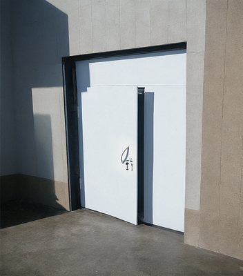 Дверь-перегородка