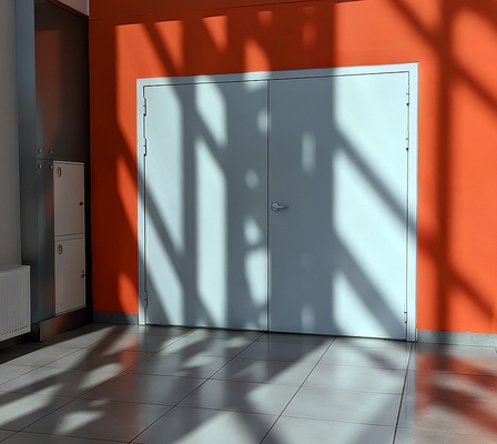Дверь в ТРЦ