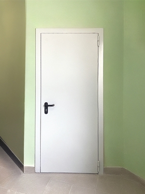 Глухая однопольная дверь Глухая однопольная дверь