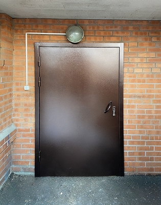 Порошковая дверь-скелет