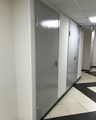 Двери однопольной конструкции Двери однопольной конструкции