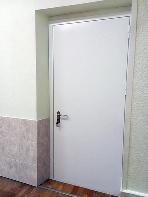 Одностворчатая дверь ДМП Одностворчатая дверь ДМП