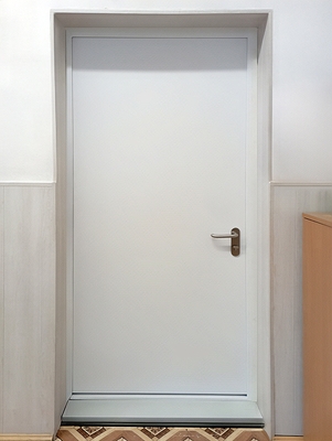 Одностворчатая дверь ДМП Одностворчатая дверь ДМП