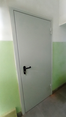 Однопольная глухая дверь Однопольная глухая дверь