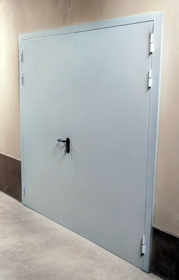 Огнестойкая двупольная дверь