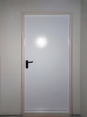 Однопольная дверь Однопольная дверь