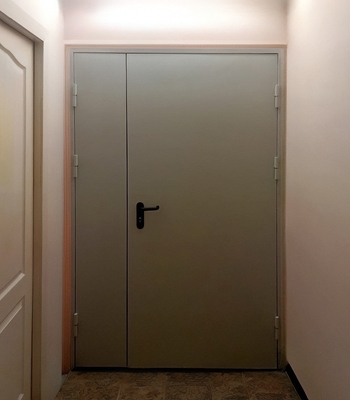 Огнестойкая полуторная дверь