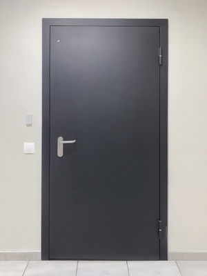 Дверь с покраской по RAL