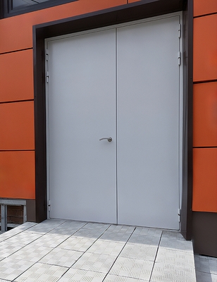 Двупольная техническая дверь