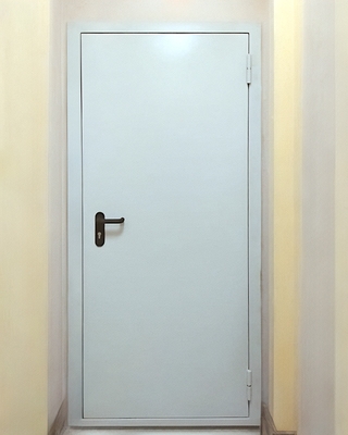 Стандартная огнезащитная дверь Стандартная огнезащитная дверь