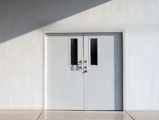 Двустворчатая дверь с окнами