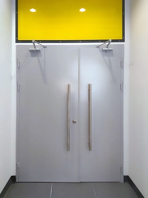 Двупольная дверь с ручками-скобами