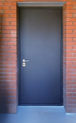 Металлическая глухая дверь